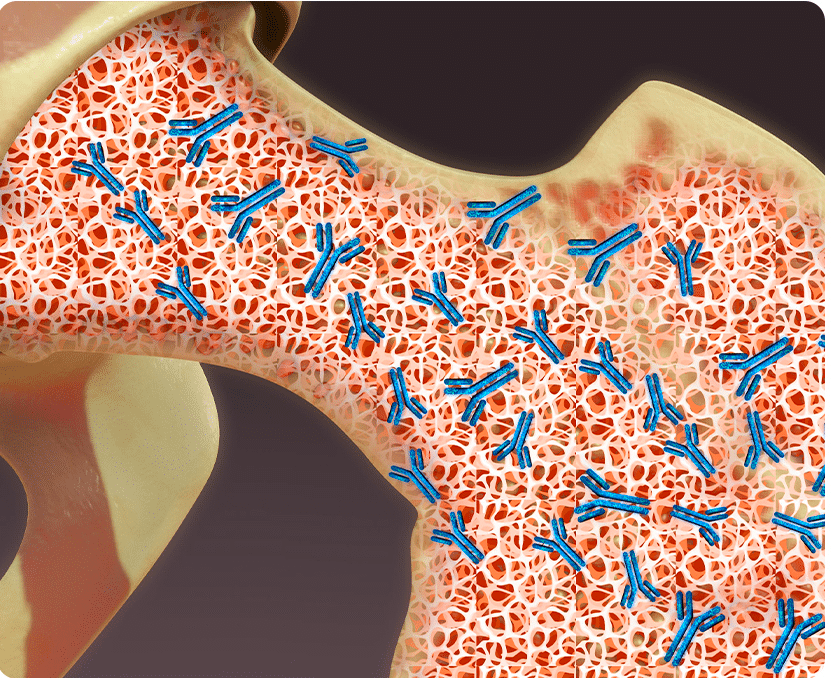 image_2023_11_24T07_36_12_217Z