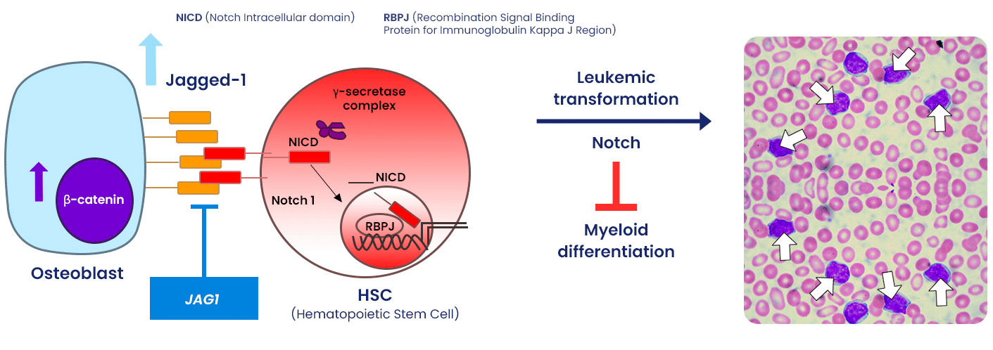 image_2023_11_24T07_36_54_144Z