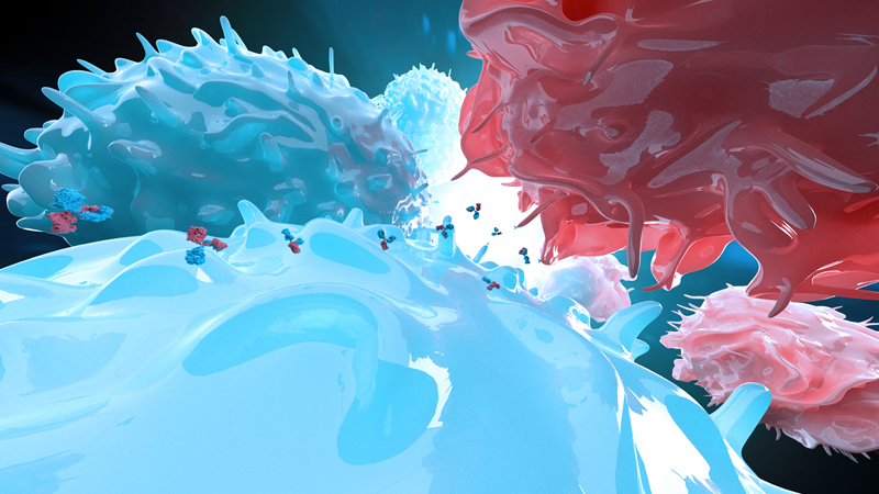 3d,Rendering,Of,Bispecific,Antibodies,Engaging,Malignant,B,Cells,And